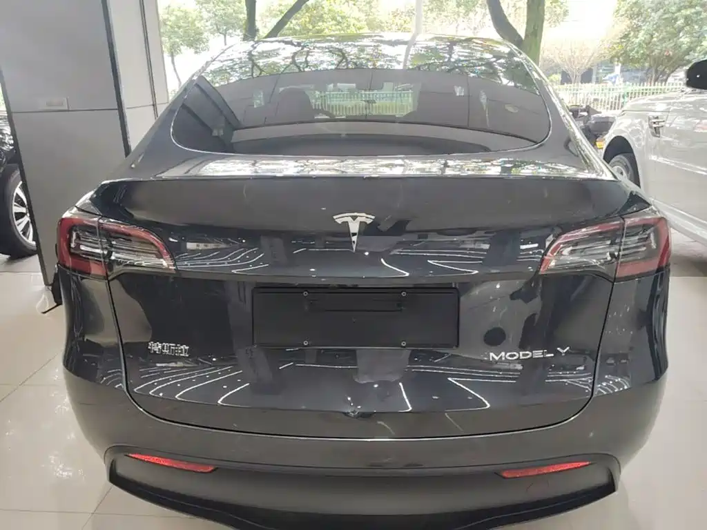 Tesla Model Y — миниатюра 6