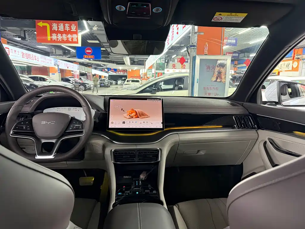 BYD PLUS New Energy — миниатюра 13