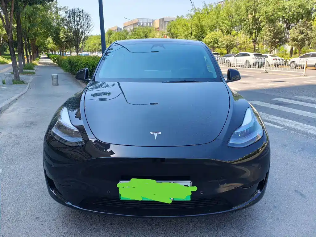 Tesla Model Y — миниатюра 2