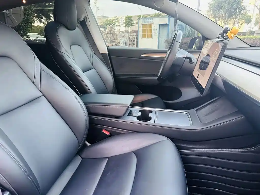 Tesla Model Y — миниатюра 6