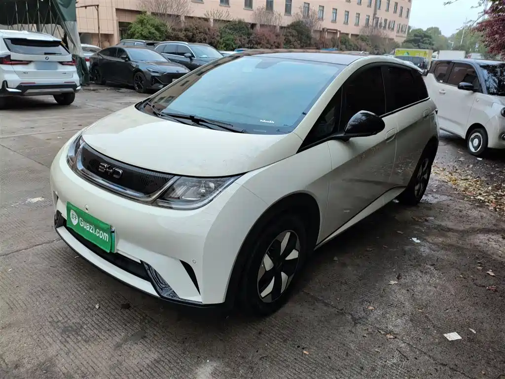 Byd Dolphin 2024