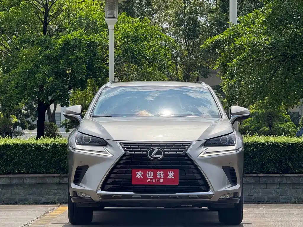 Lexus NX 2020 200 VI