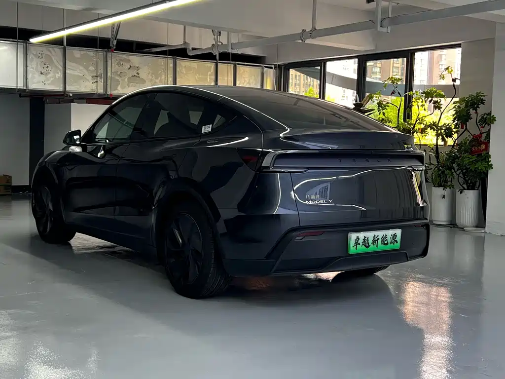 Tesla Model Y — миниатюра 10