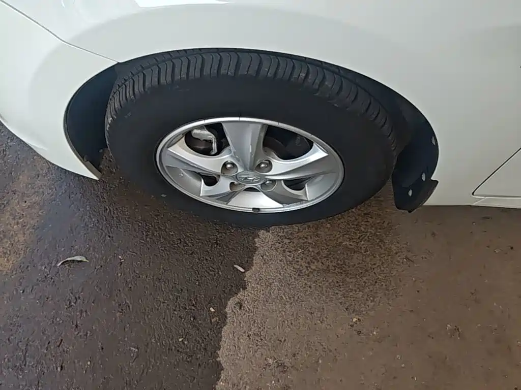 Hyundai Ruiyi — миниатюра 23
