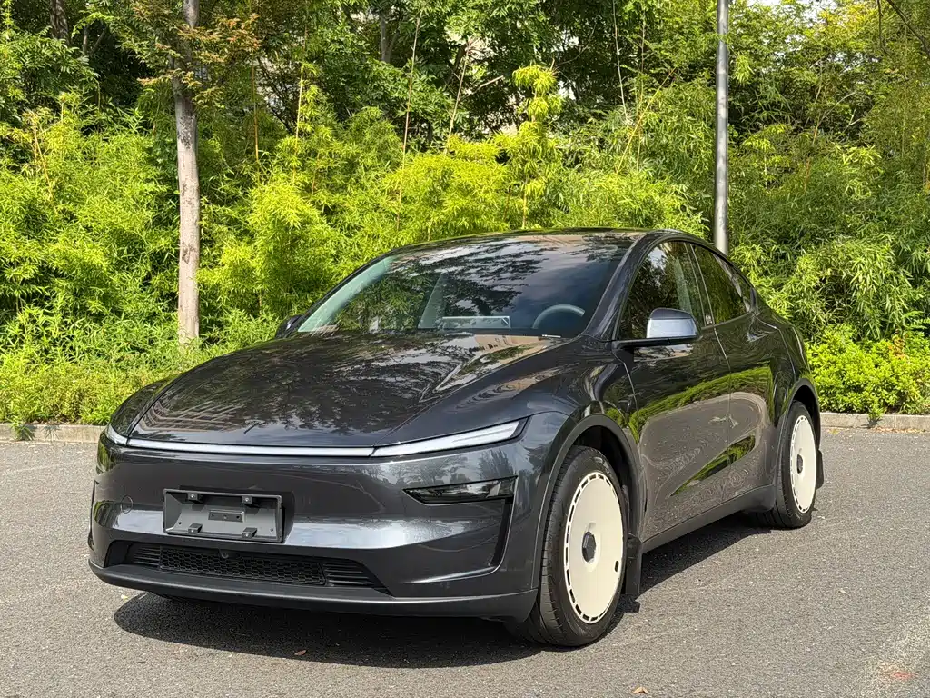 Tesla Model Y — фотографии объявления, Фото 2