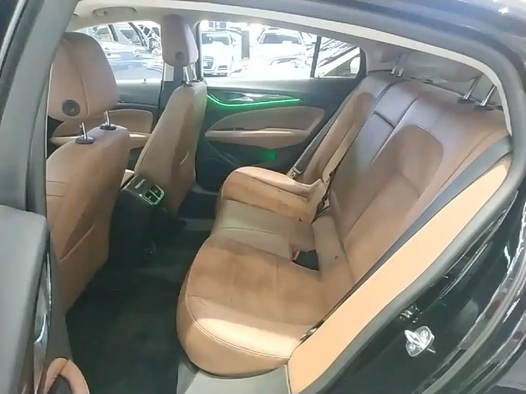 Buick Regal — миниатюра 17