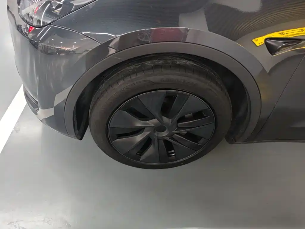 Tesla Model Y — миниатюра 23