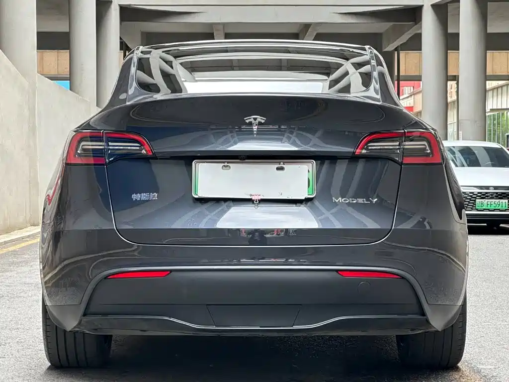 Tesla Model Y — миниатюра 4
