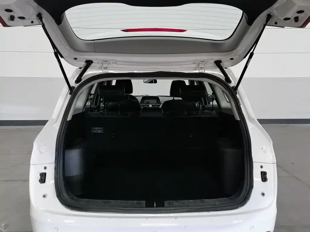 Baojun 310W — миниатюра 16