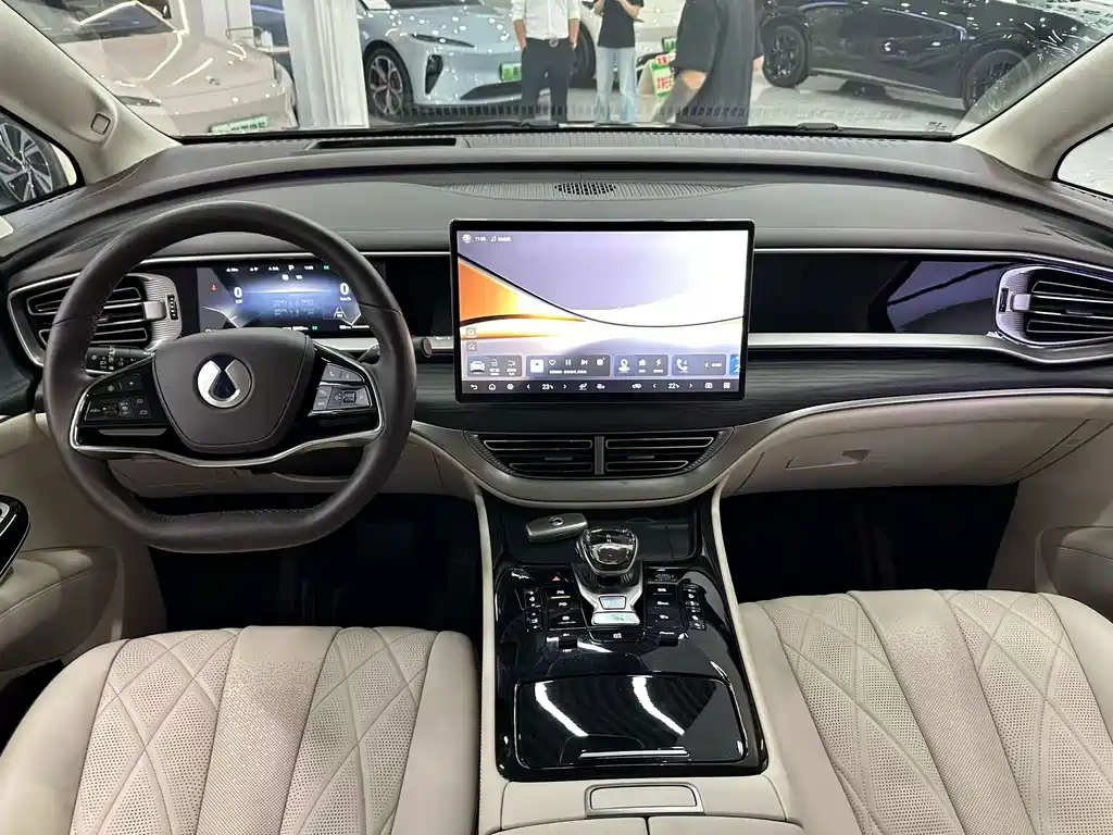 Denza Denza D9 — миниатюра 5