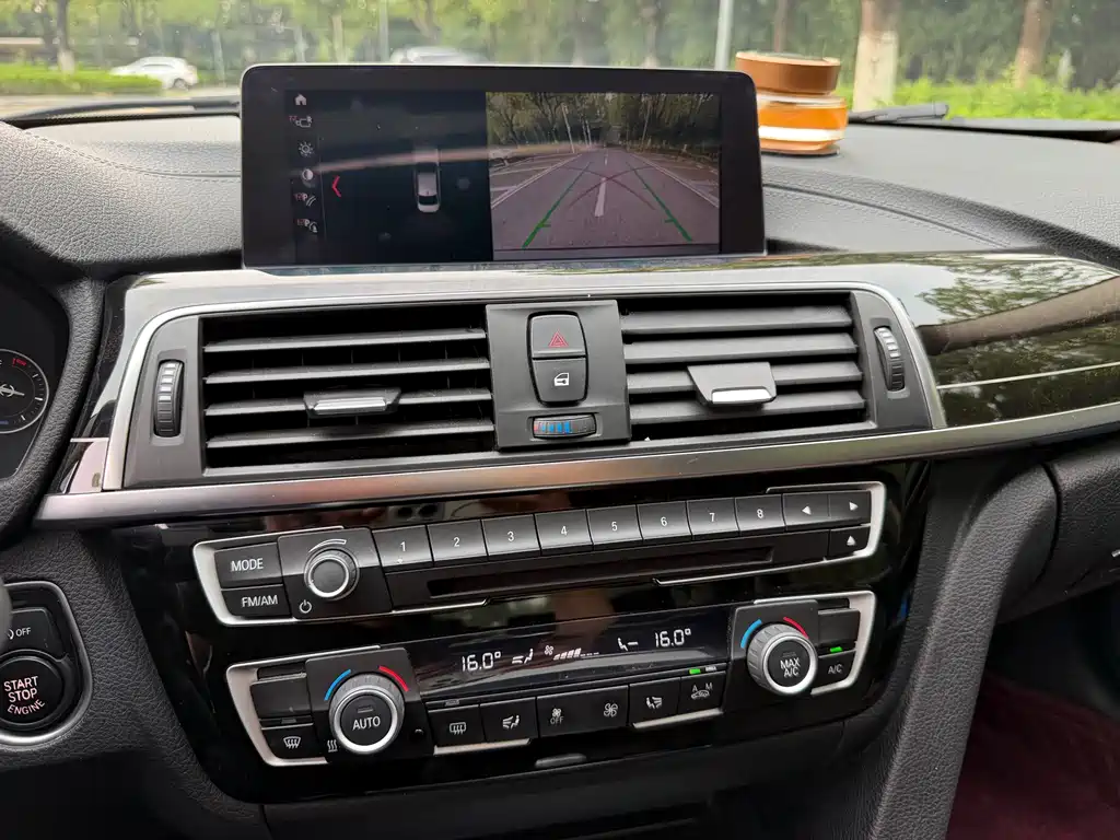 BMW 3 Series 3 2019 320Li M Sport