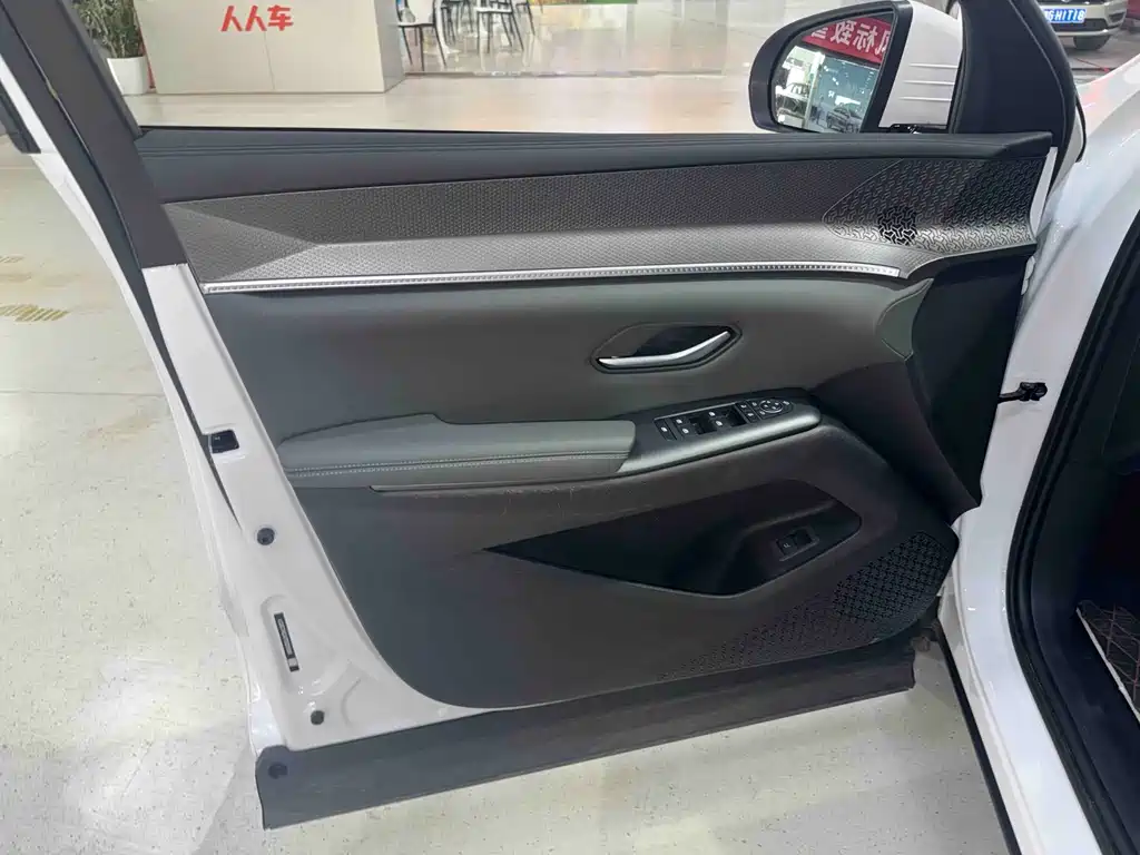 BYD Pro New Energy — миниатюра 5