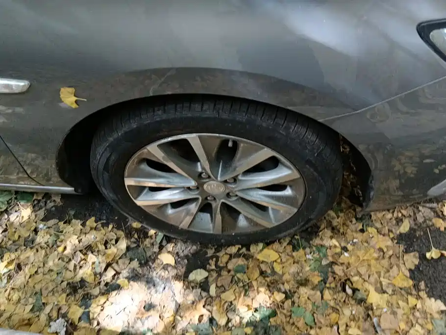 Buick GL6 — миниатюра 6