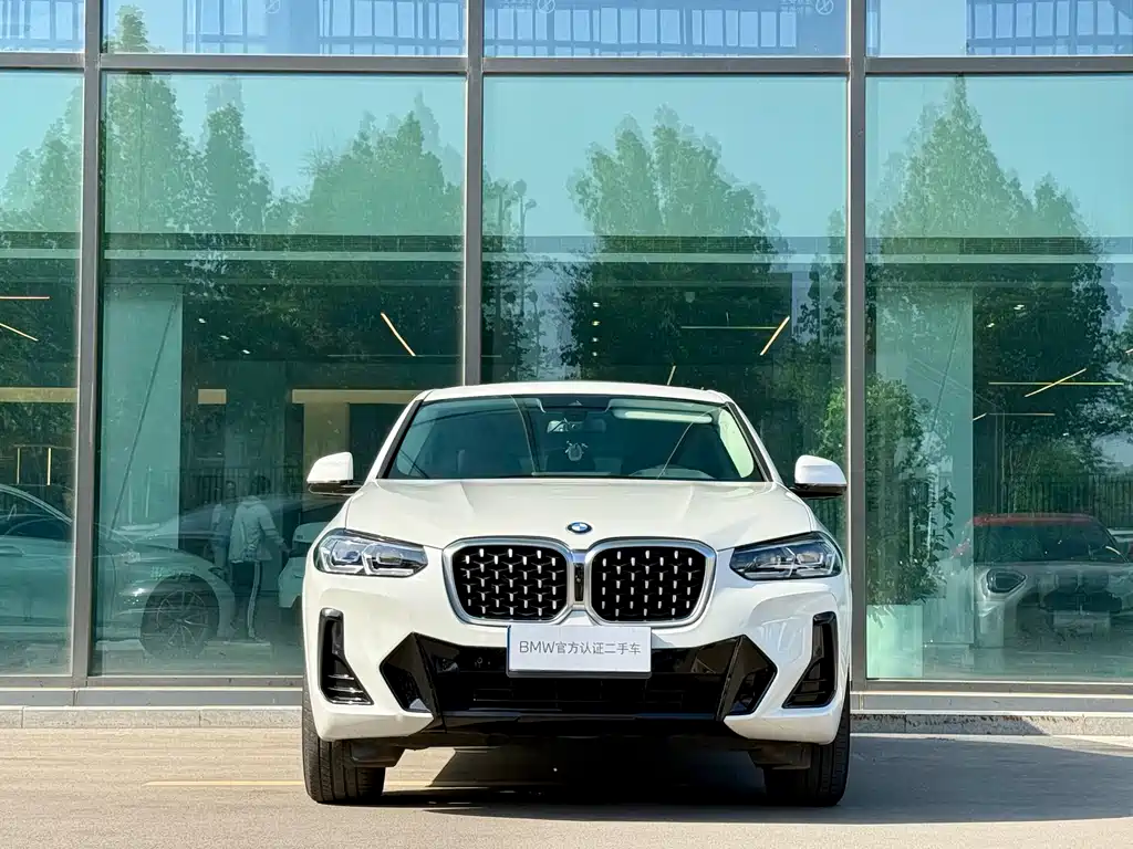 BMW X4 2022 xDrive 25i M Sport