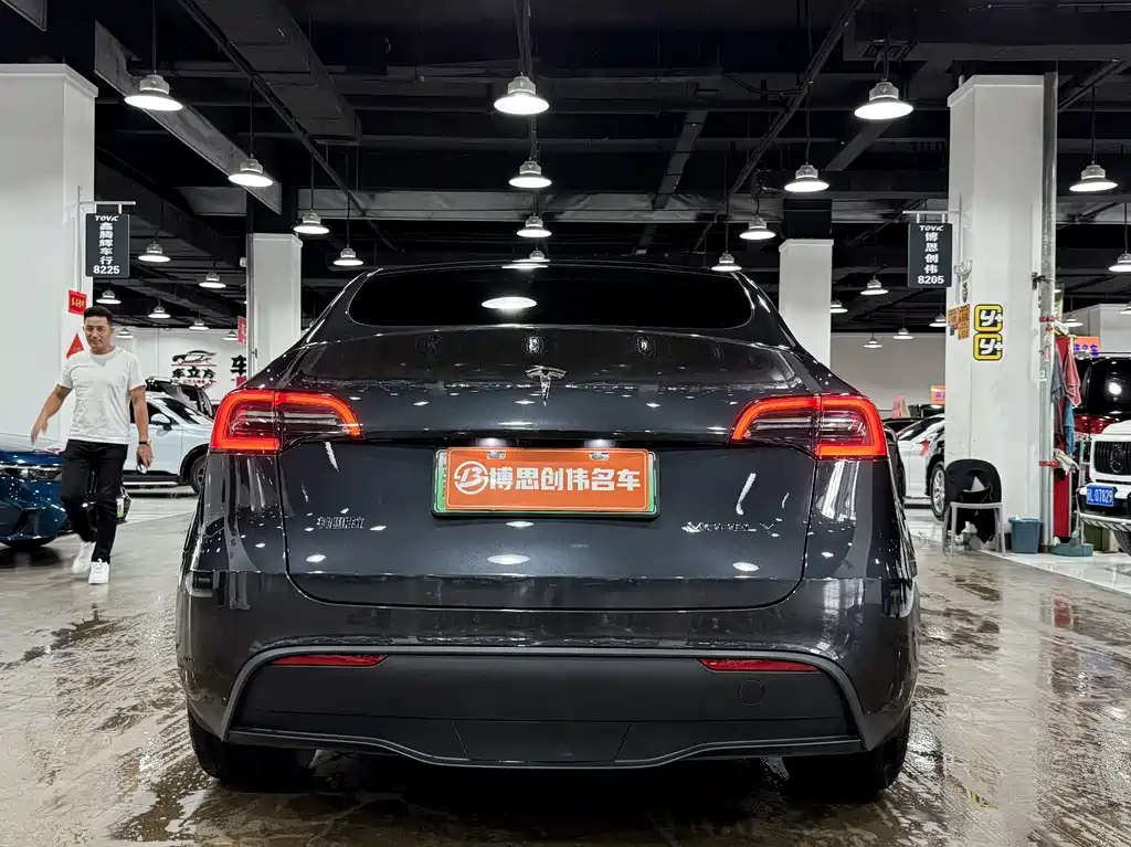 Tesla Model Y — миниатюра 8