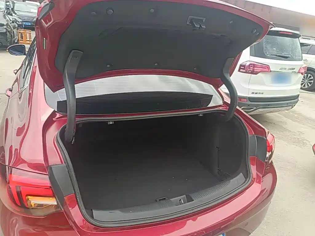 Buick Regal — миниатюра 19