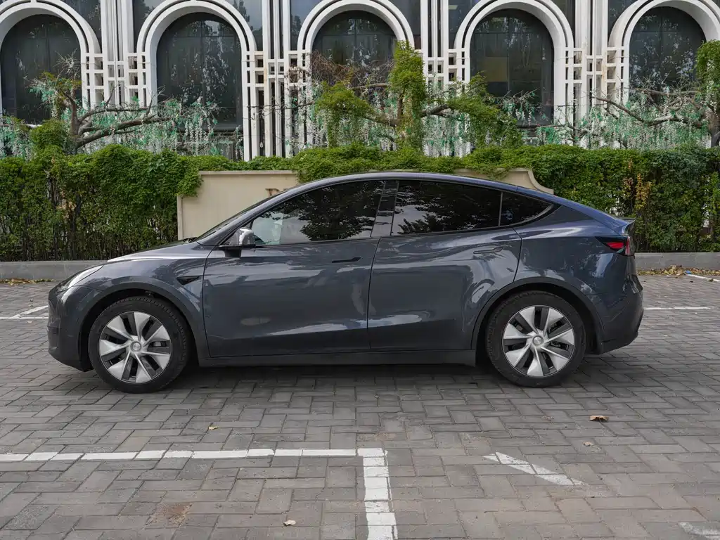 Tesla Model Y — миниатюра 8