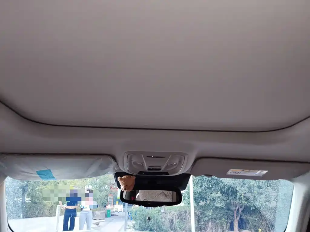 Haval Big Dog PLUS — миниатюра 9