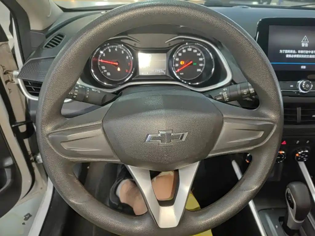 Chevrolet Cavalier — миниатюра 11