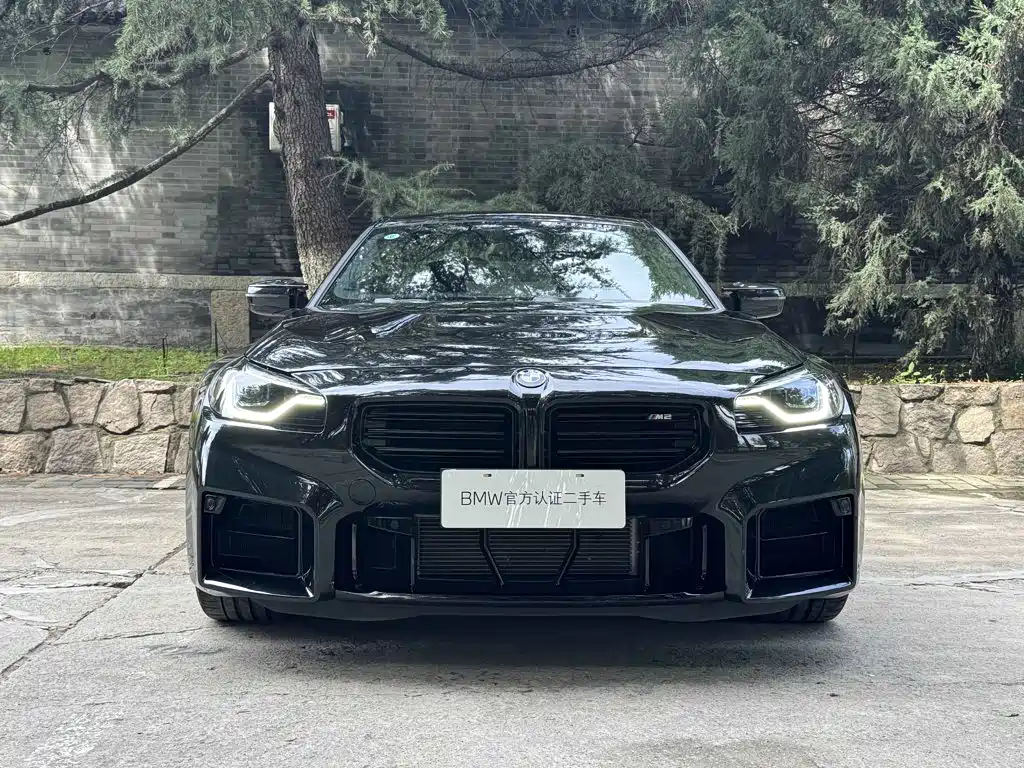 BMW M2 M2, фото 17