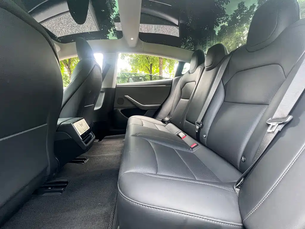 Tesla Model 3 — миниатюра 6