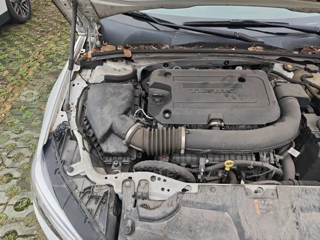 Buick Regal — миниатюра 19