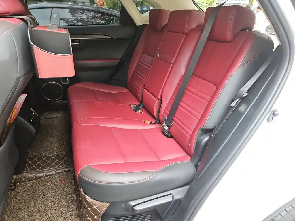 Lexus NX — миниатюра 18