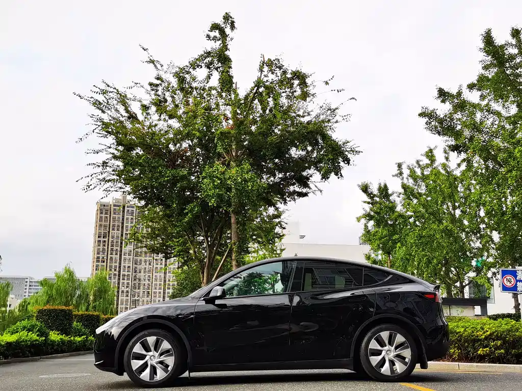 Tesla Model Y — миниатюра 7