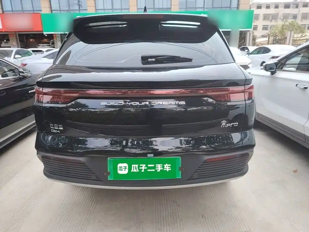 BYD Pro New Energy — миниатюра 6