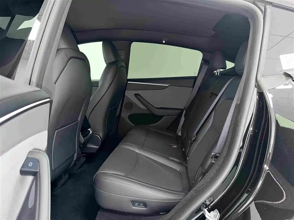 Tesla Model Y — миниатюра 5