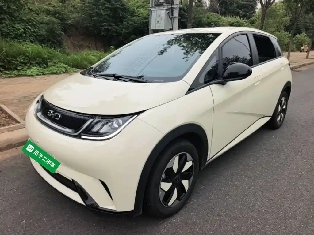 BYD Dolphin — миниатюра 2