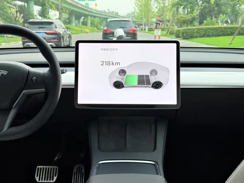 Tesla Model Y — миниатюра 13