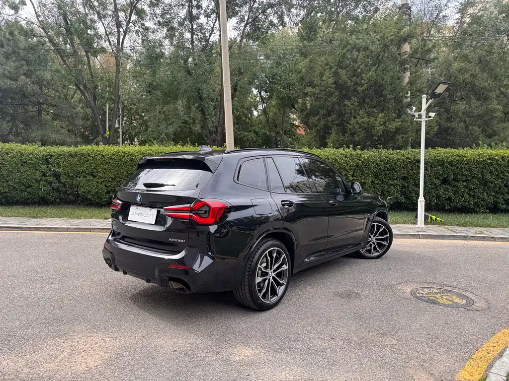 BMW X3 — миниатюра 5