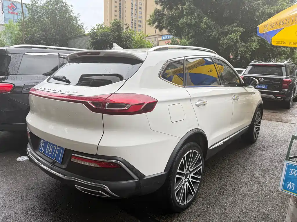 Leopaard Mattu — миниатюра 10