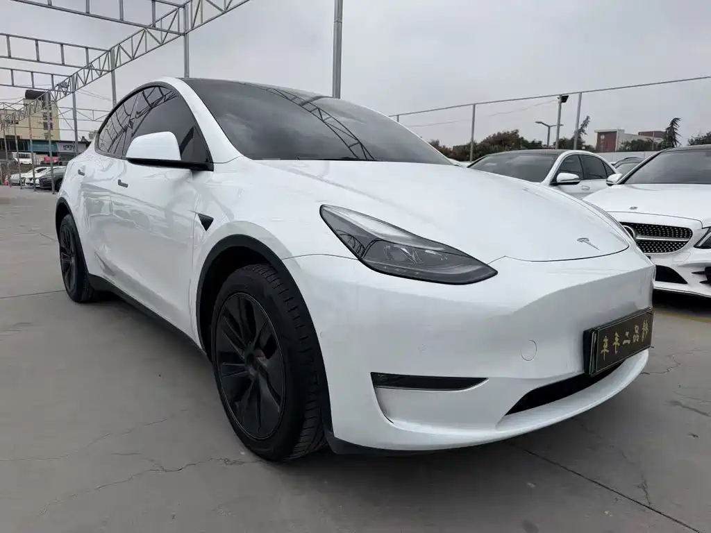 Tesla Model Y — миниатюра 3