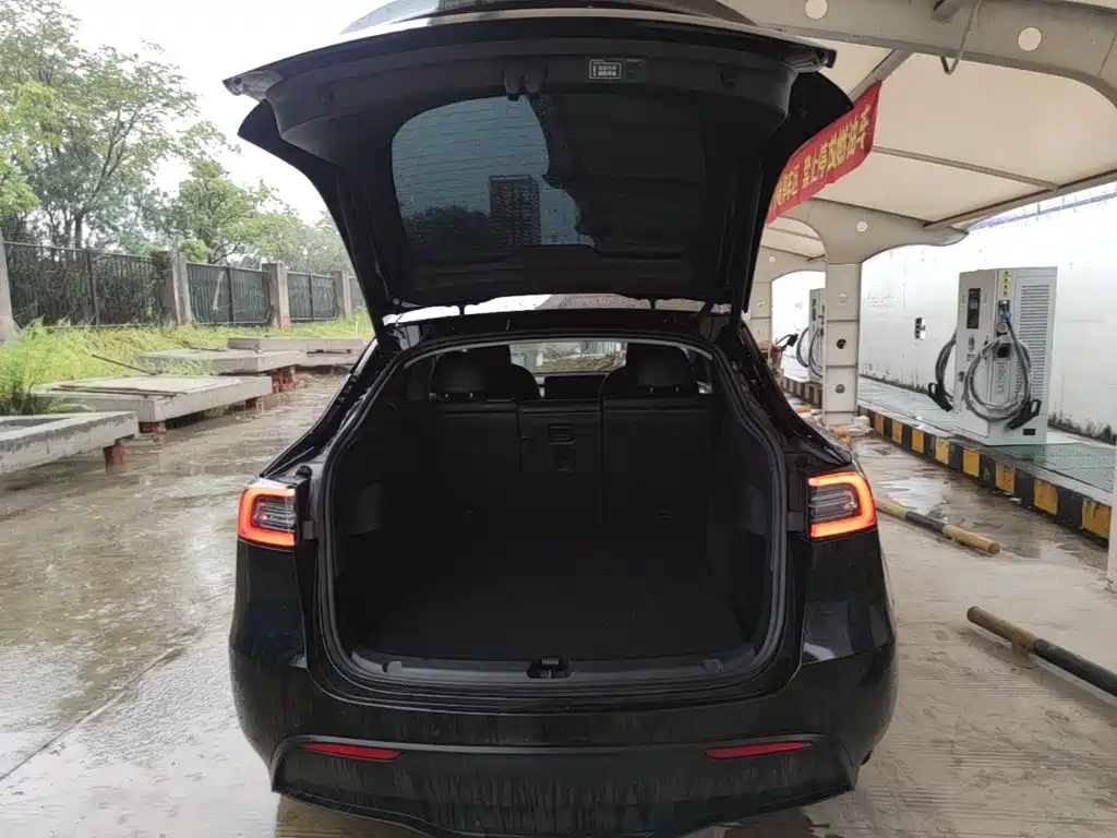 Tesla Model Y — миниатюра 19