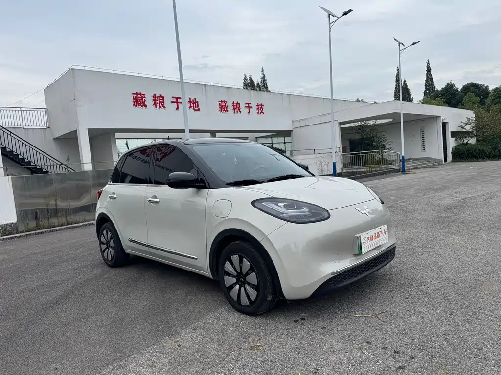 Wuling Bingo — миниатюра 3