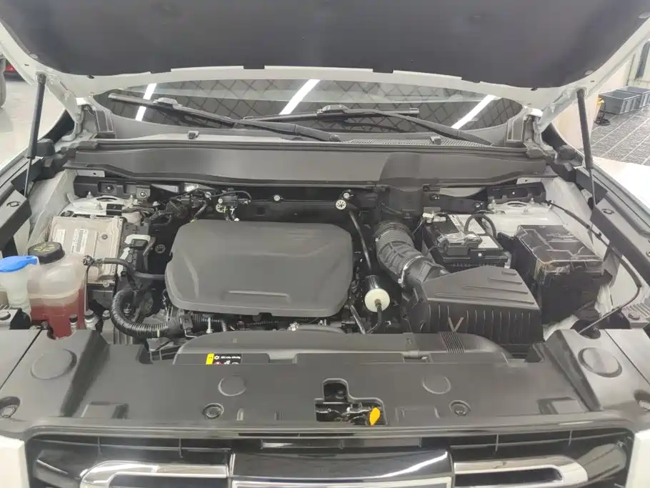 Haval Big Dog — миниатюра 10