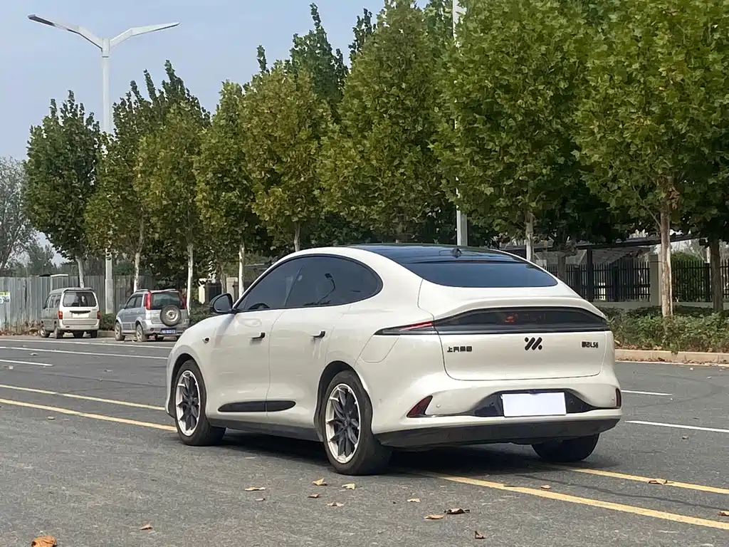 IM IM LS6 — миниатюра 9