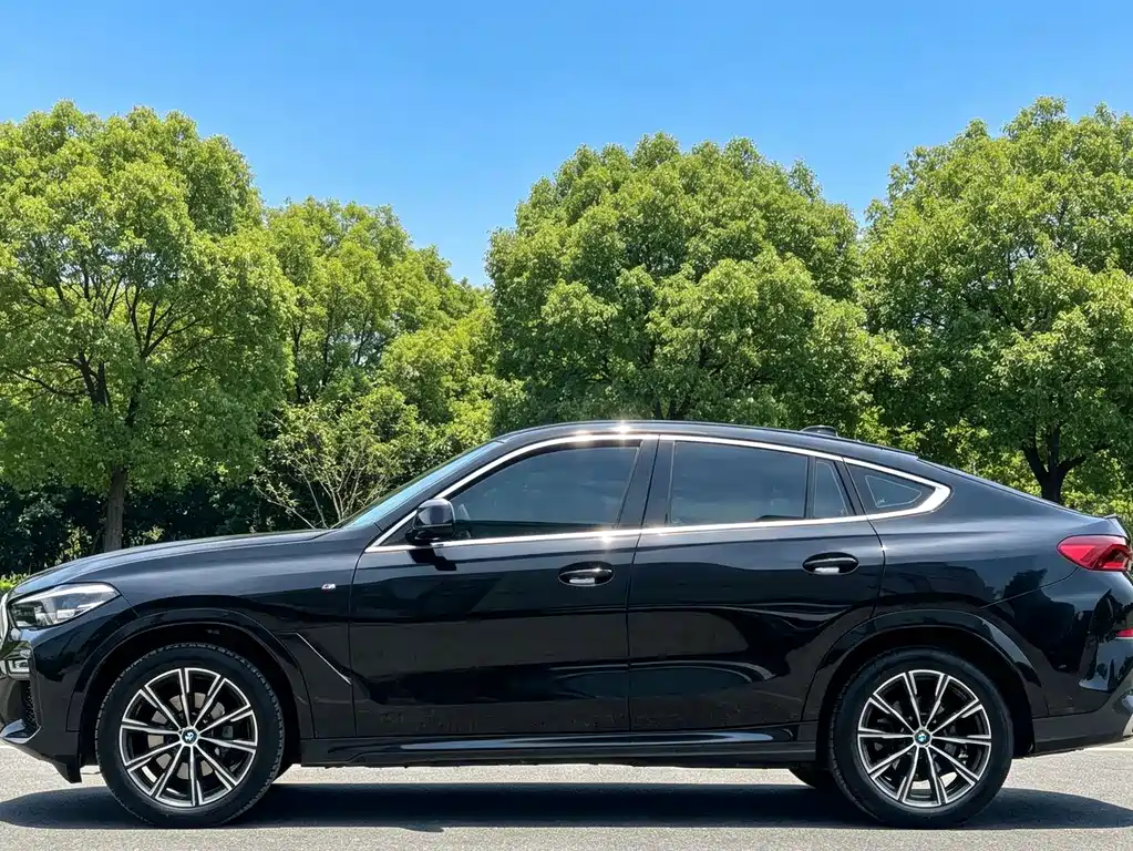 BMW X6 xDrive30i M Sport Package, фото 7