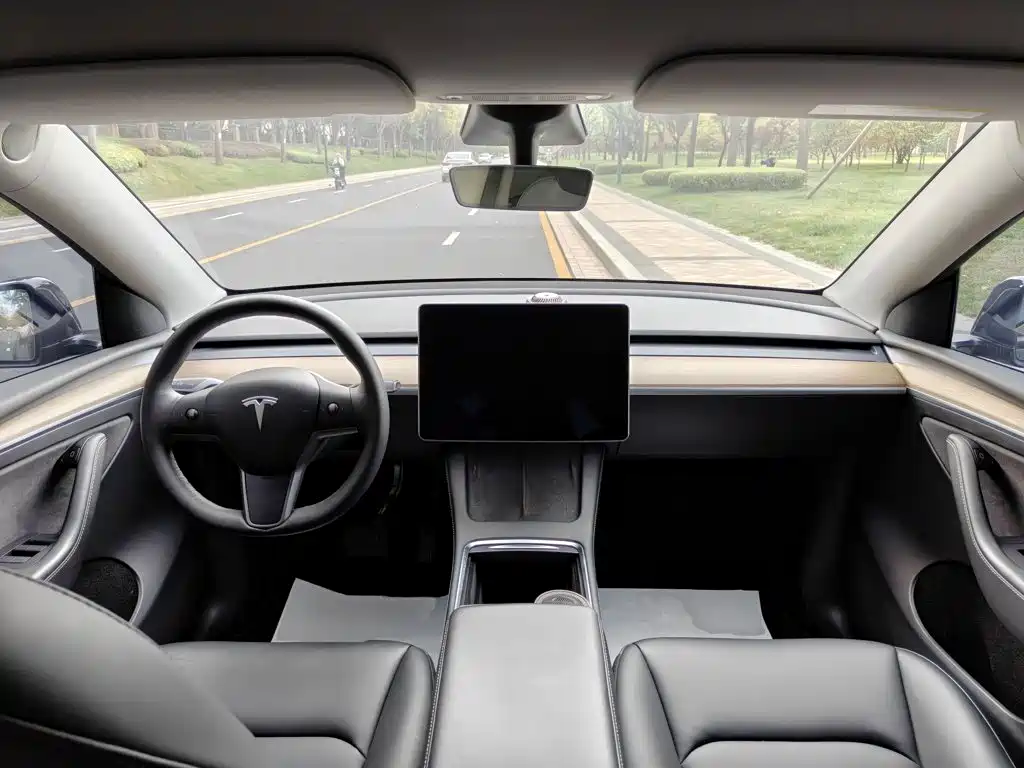 Tesla Model Y — миниатюра 10