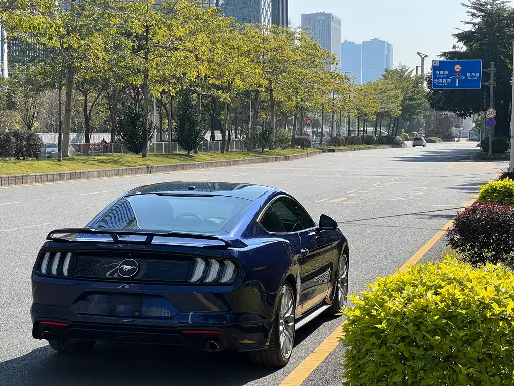 Ford Mustang — миниатюра 17