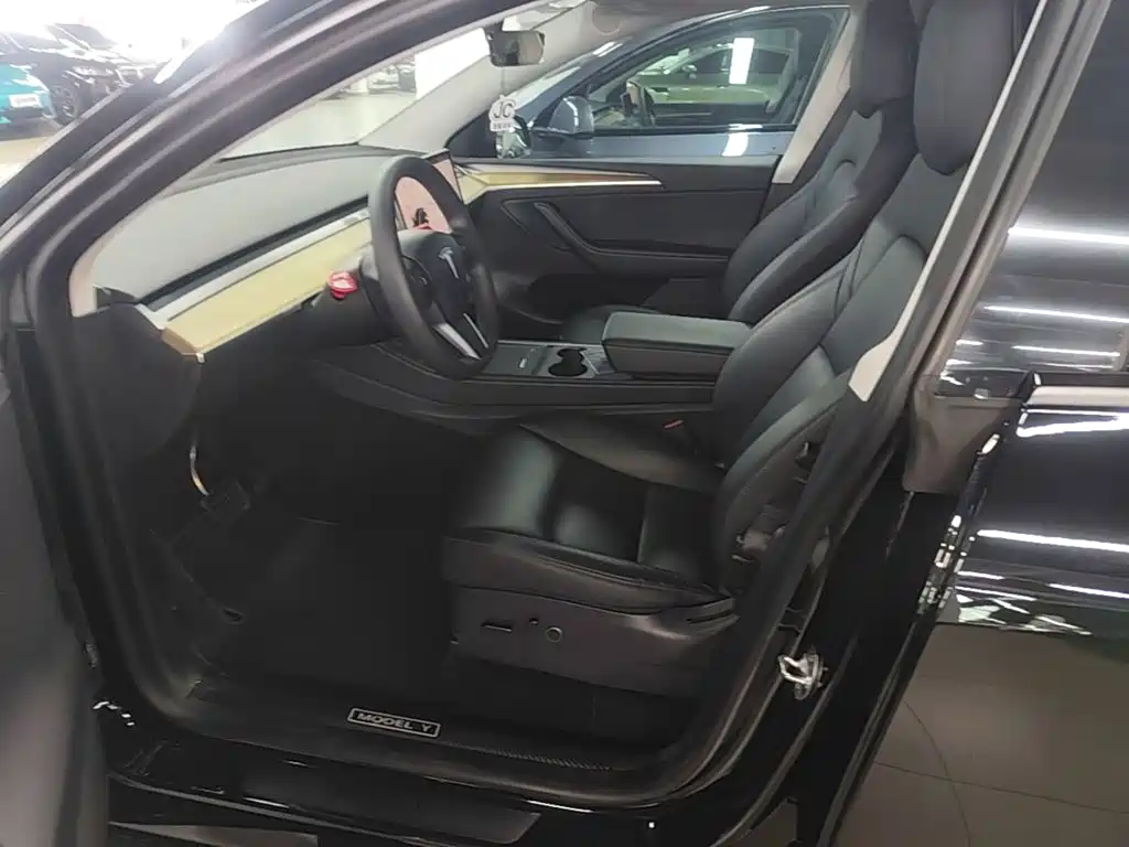 Tesla Model Y — миниатюра 15