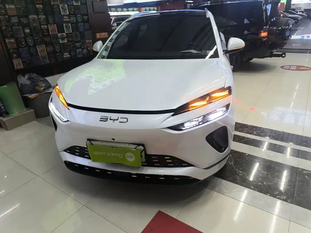 BYD Sealion 06 — миниатюра 3