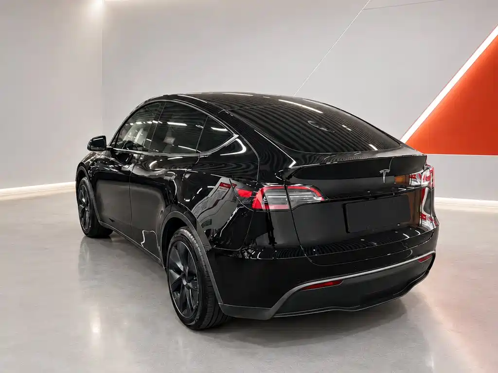 Tesla Model Y — миниатюра 4