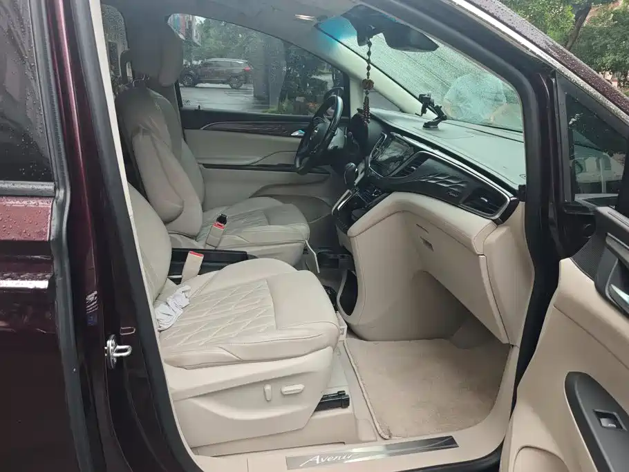 Buick GL8 — миниатюра 8