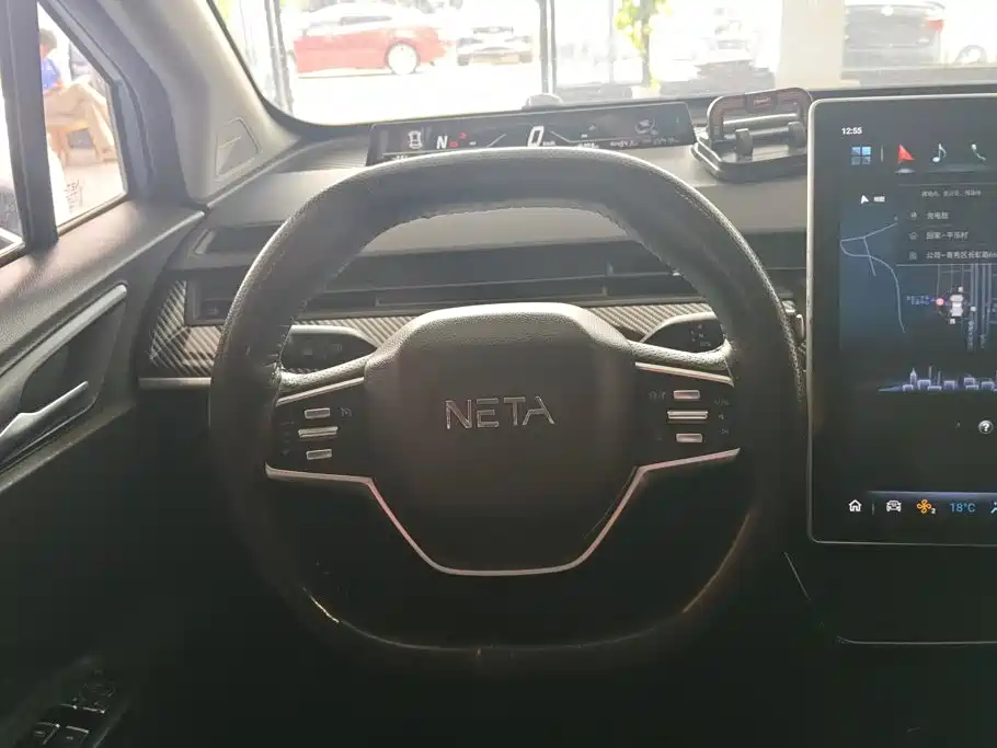 Neta Neta V — миниатюра 15