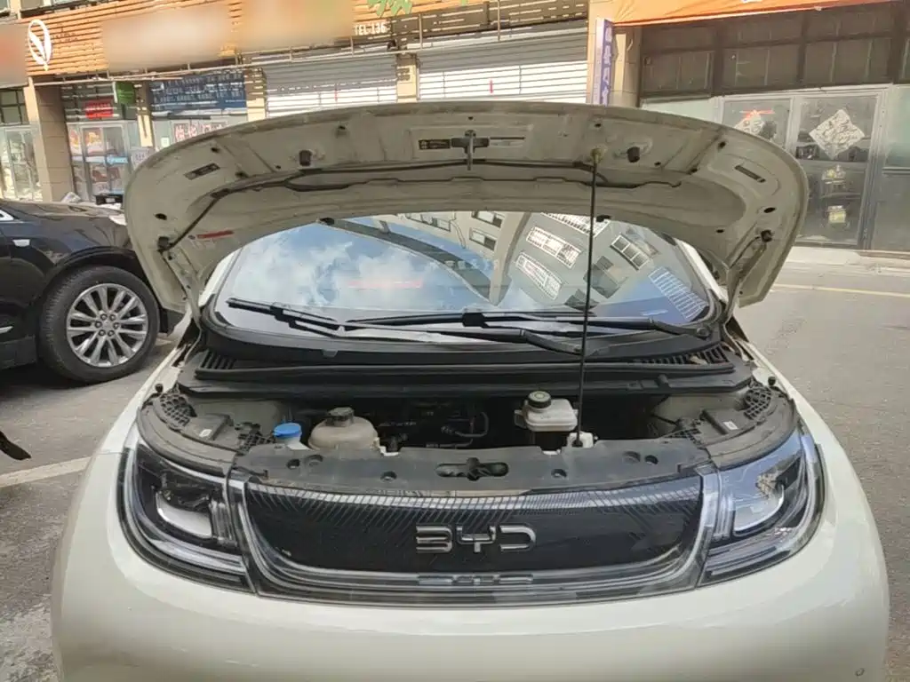 BYD Dolphin — миниатюра 20