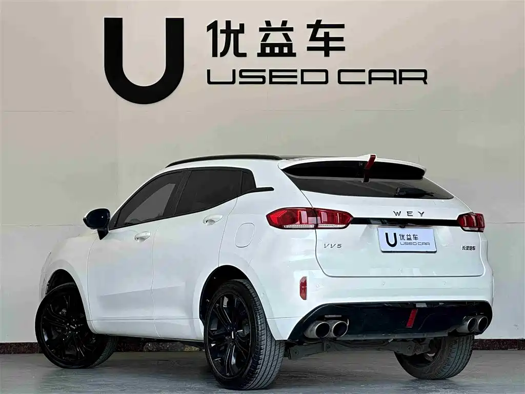 WEI PAI WEI BRAND VV5