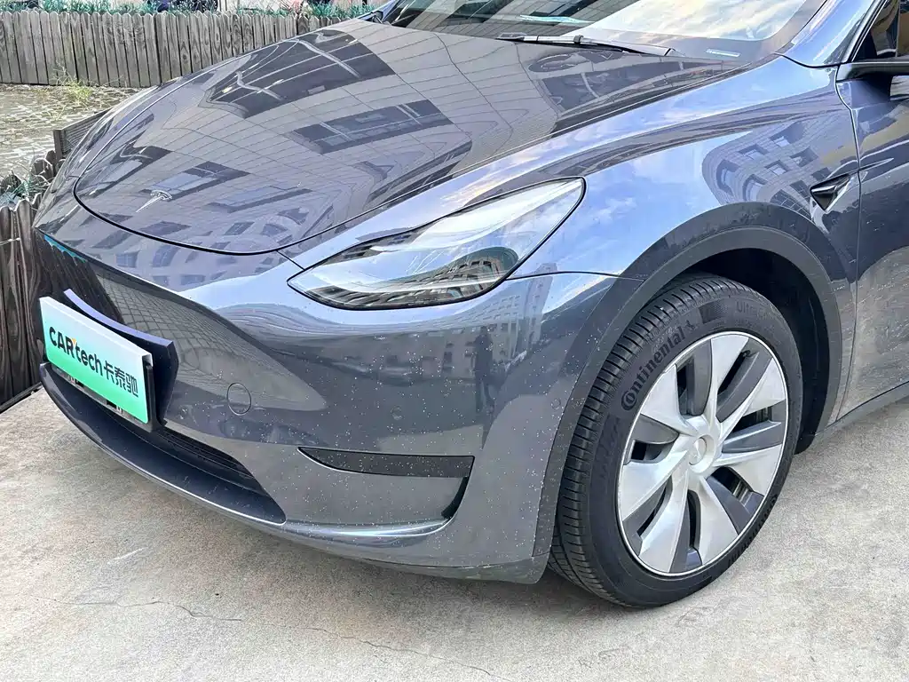 Tesla Model Y — миниатюра 3